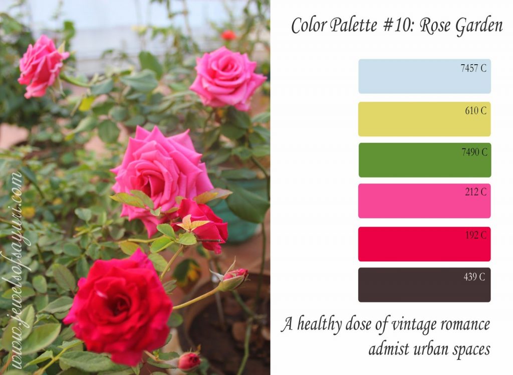Rose Garden color palette