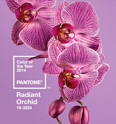 radiant orchid pantone color of the year