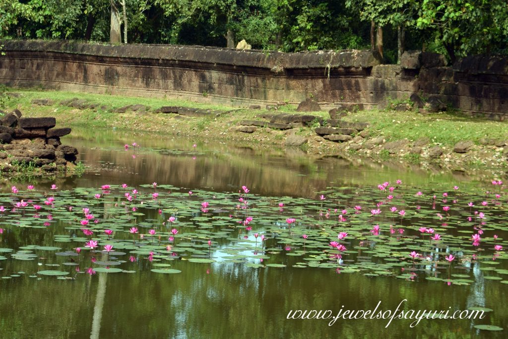 Bantaey Shrei Lily pond