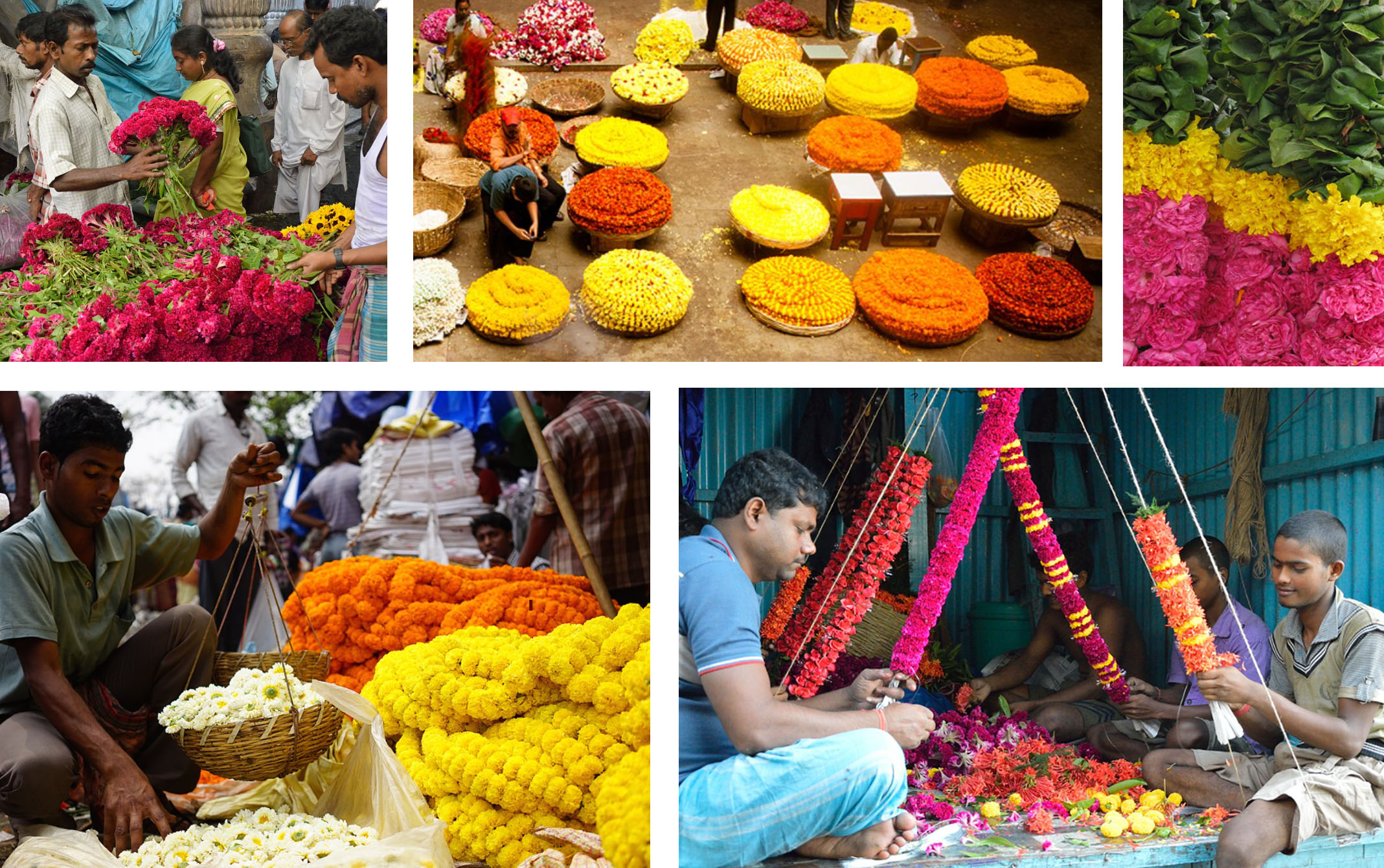 flower markets of india