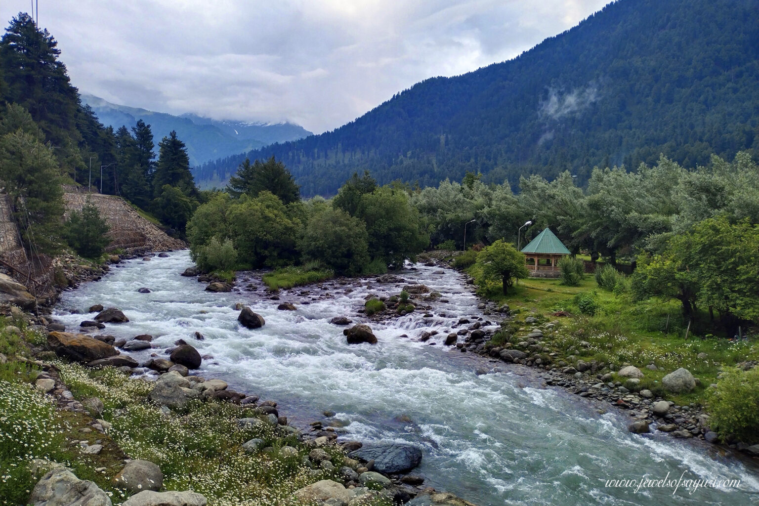 Solo travel in Kashmir - Sayuri