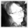 Kym Hunter avatar